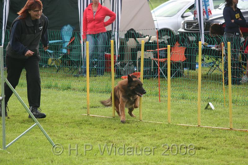 jubil.lusten. 019.jpg